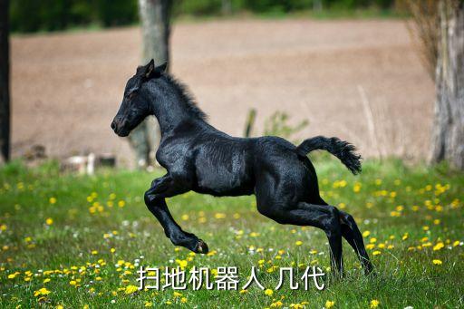 米家掃地機(jī)器人 幾代