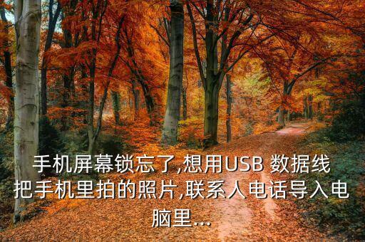 另類數(shù)據(jù)線,數(shù)據(jù)線的另類用處