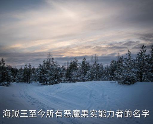 海賊王至今所有惡魔果實(shí)能力者的名字