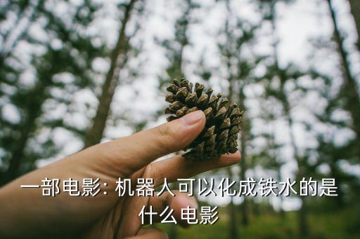 機(jī)器人殺手