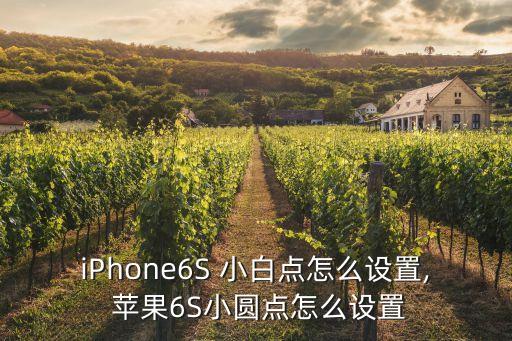 蘋果6s自動開啟小白點,蘋果手機6s小白點怎么弄出來