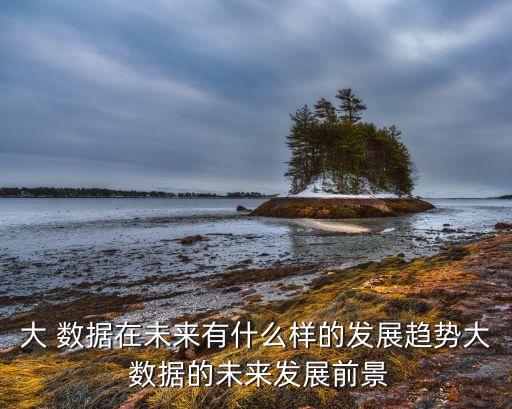 大 數(shù)據(jù)在未來有什么樣的發(fā)展趨勢大 數(shù)據(jù)的未來發(fā)展前景