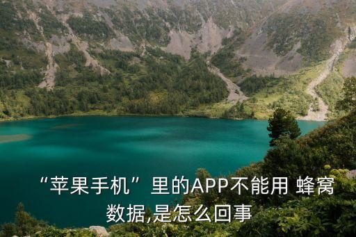 “蘋果手機”里的APP不能用 蜂窩 數(shù)據(jù),是怎么回事