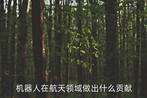  機器人在航天領(lǐng)域做出什么貢獻(xiàn)