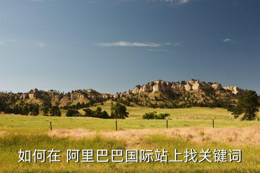 阿里巴巴后臺數(shù)據(jù)管家