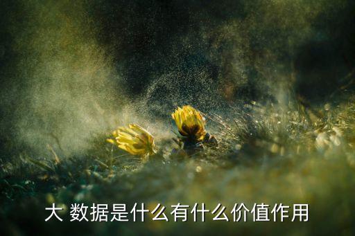 大數據世界的結尾,世界大數據公司