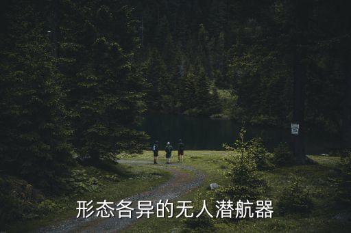 形態(tài)各異的無(wú)人潛航器