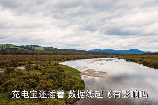  充電寶還插著 數(shù)據(jù)線起飛有影響嗎