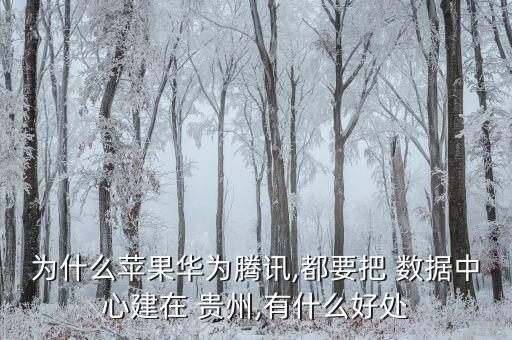 為什么蘋果華為騰訊,都要把 數(shù)據(jù)中心建在 貴州,有什么好處