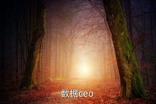 數(shù)據(jù)ceo