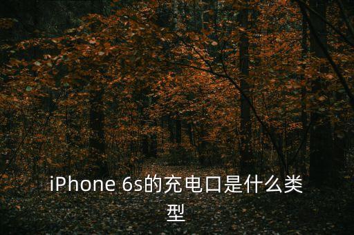 iPhone 6s的充電口是什么類型