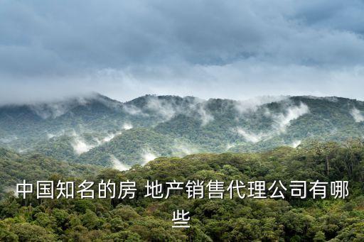中國知名的房 地產(chǎn)銷售代理公司有哪些