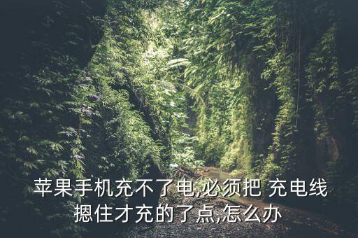  蘋果手機充不了電,必須把 充電線摁住才充的了點,怎么辦