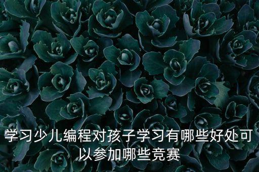 23威盛中國芯機器人初中參數