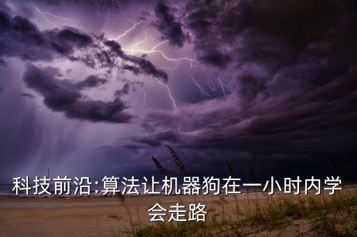 智能小狗機器人怎么樣,小狗智能掃地機器人app