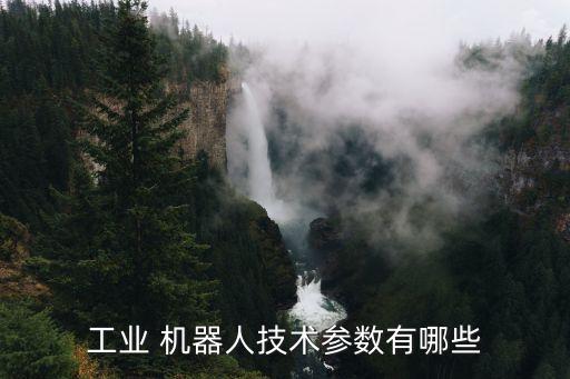 機器人負(fù)重后的精度,達(dá)芬奇手術(shù)機器人精度