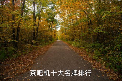 機(jī)器人為核心的公司,激戰(zhàn)2機(jī)器人核心