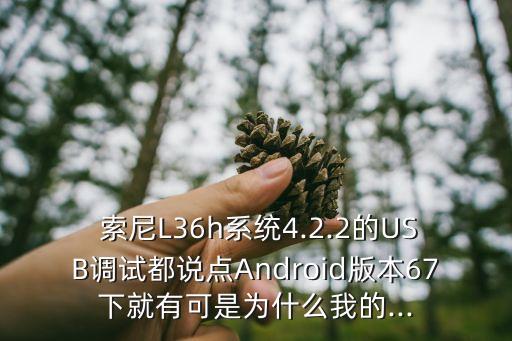  索尼L36h系統(tǒng)4.2.2的USB調(diào)試都說(shuō)點(diǎn)Android版本67下就有可是為什么我的...