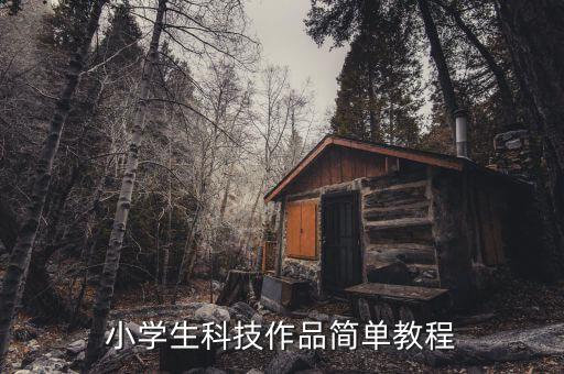 小學(xué)生科技作品簡單教程