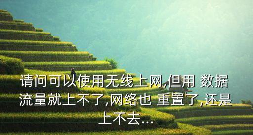 重置數(shù)據(jù)流量會(huì)怎樣,iphone重置流量數(shù)據(jù)
