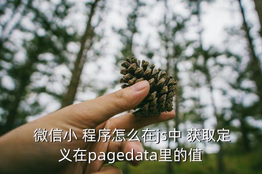  微信小 程序怎么在js中 獲取定義在pagedata里的值