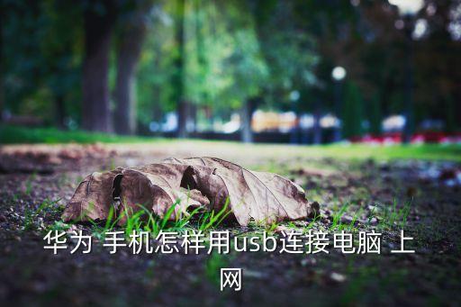 華為 手機怎樣用usb連接電腦 上網(wǎng)
