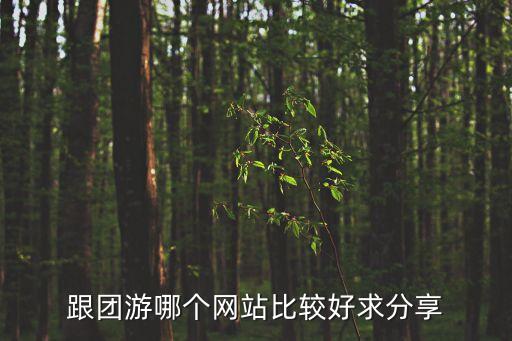 跟團(tuán)游哪個網(wǎng)站比較好求分享