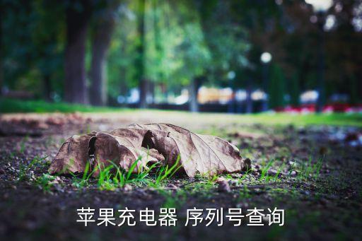 蘋果充電器 序列號(hào)查詢