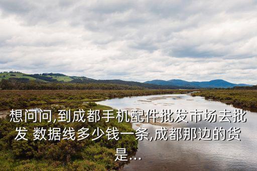 想問問,到成都手機(jī)配件批發(fā)市場(chǎng)去批發(fā) 數(shù)據(jù)線多少錢一條,成都那邊的貨是...