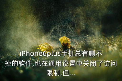 iPhone6plus手機(jī)總有刪不掉的軟件,也在通用設(shè)置中關(guān)閉了訪問(wèn)限制,但...