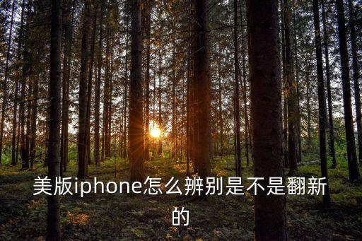 美版iphone怎么辨別是不是翻新的