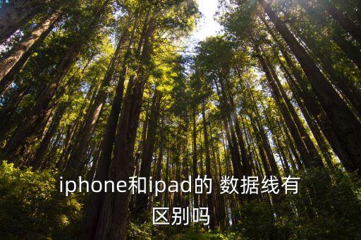 iphone和ipad的 數(shù)據(jù)線有區(qū)別嗎