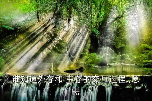 誰知道外存和 主存的交互過程,,急需
