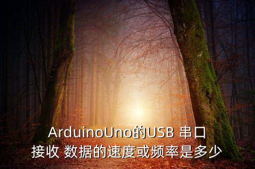 ArduinoUno的USB 串口接收 數(shù)據(jù)的速度或頻率是多少