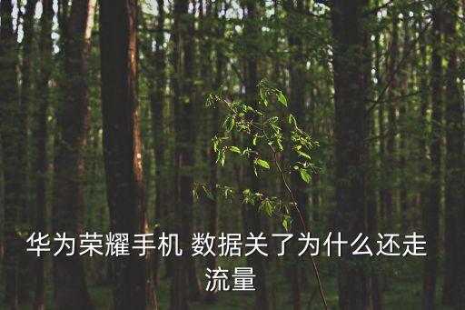 華為榮耀手機 數(shù)據(jù)關了為什么還走 流量