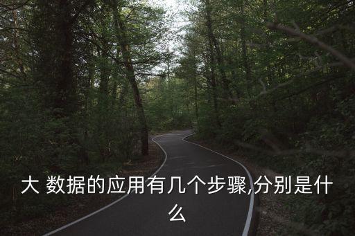 大 數(shù)據(jù)的應(yīng)用有幾個(gè)步驟,分別是什么