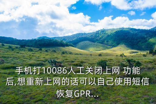 重新開通國內(nèi)移動數(shù)據(jù)功能,移動重新開通上網(wǎng)功能