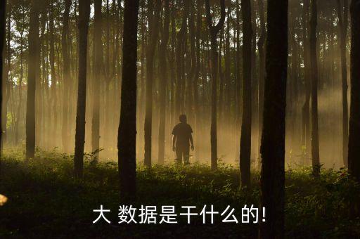 大 數據是干什么的!