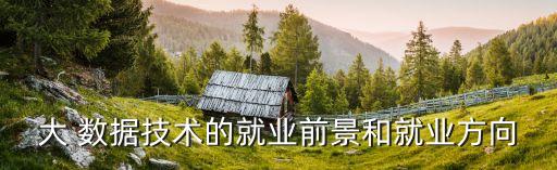 大 數(shù)據(jù)技術(shù)的就業(yè)前景和就業(yè)方向