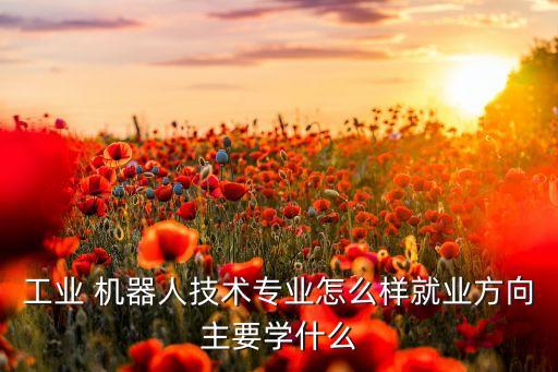 機(jī)器人單體是什么意思,clannad機(jī)器人和少女是什么意思