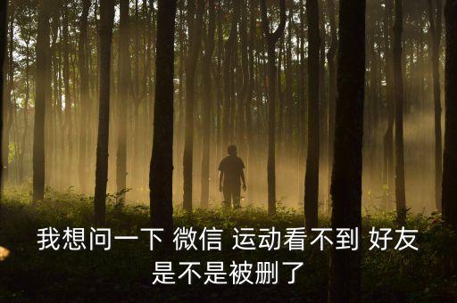 我想問一下 微信 運動看不到 好友是不是被刪了