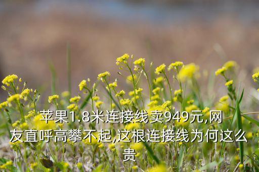  蘋果1.8米連接線賣949元,網(wǎng)友直呼高攀不起,這根連接線為何這么貴