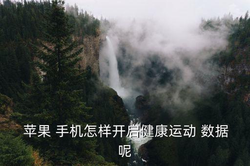 蘋(píng)果手機(jī)開(kāi)數(shù)據(jù)怎么開(kāi)