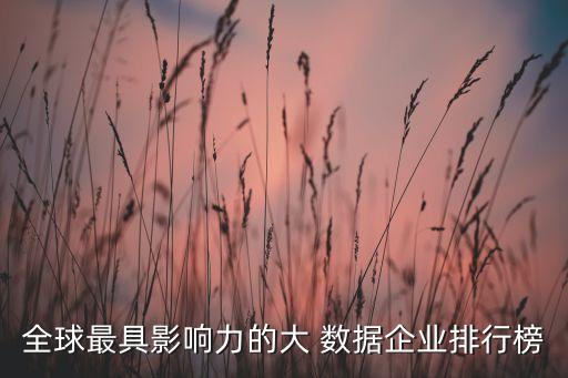 大數(shù)據(jù) 廠商,數(shù)據(jù)標準化廠商