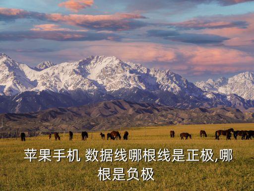 蘋果數(shù)據(jù)線的區(qū)別