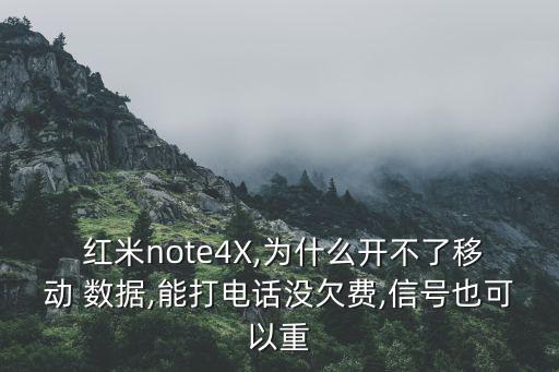  紅米note4X,為什么開不了移動 數(shù)據(jù),能打電話沒欠費,信號也可以重