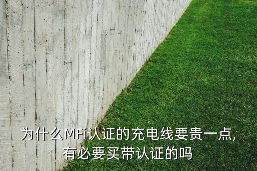 為什么MFi認(rèn)證的充電線要貴一點(diǎn),有必要買帶認(rèn)證的嗎