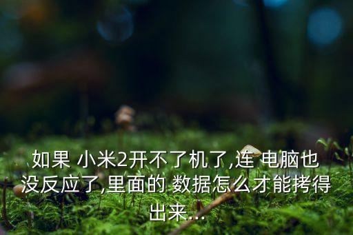 如果 小米2開不了機(jī)了,連 電腦也沒反應(yīng)了,里面的 數(shù)據(jù)怎么才能拷得出來...