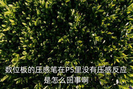 數(shù)位板的壓感筆在PS里沒(méi)有壓感反應(yīng)是怎么回事啊