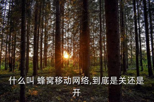蜂窩移動(dòng)數(shù)據(jù)是什么?,蘋果手機(jī)蜂窩移動(dòng)數(shù)據(jù)選項(xiàng)是什么意思